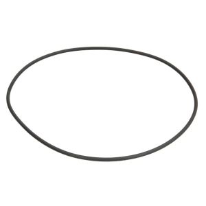 O-Ring, Getriebe ZF 0634313054ZF