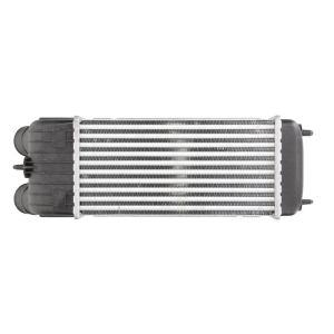 Intercooler NRF 30196