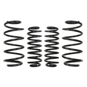 Kit de suspensão, molas Pro-Kit EIBACH E10-22-011-02-22