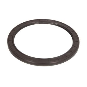 Hinterachsdichtung ZF 0734300666ZF