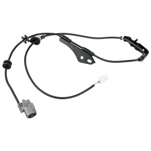 Cable ABS BLUE PRINT ADBP710022