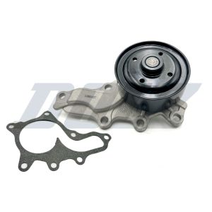 Pompe à eau DOLZ T260