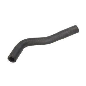 Mangueira do aquecedor THERMOTEC DWM209TT