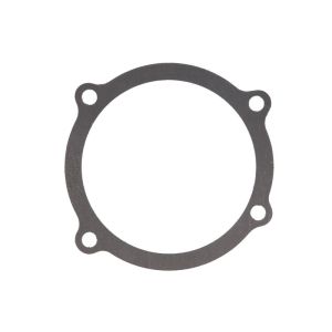 Dichtung, Wasserpumpe ENGITECH ENT010811