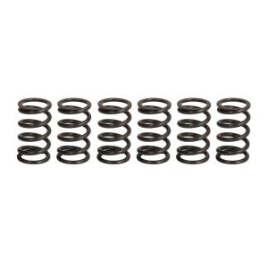 Kit de molas de embraiagem TRW MEF369-6