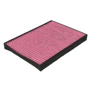 Filtro cabina K&N DVF5043