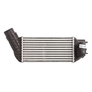 Intercooler NRF 30462