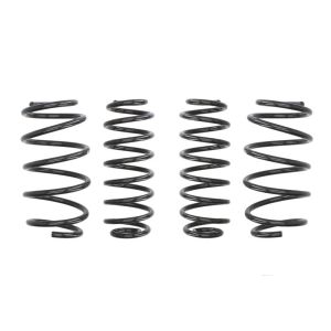 Mola de suspensão Pro-Kit EIBACH E10-81-005-01-22