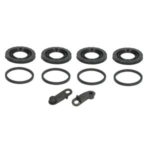 Kit de reparação, pinça de travão AUTOFREN SEINSA D43739