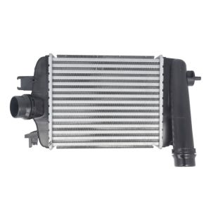 Ladeluftkühler MAGNETI MARELLI 351319206100