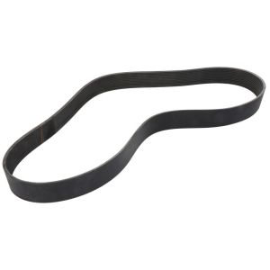 Correa poly V GATES 0242185-GAT