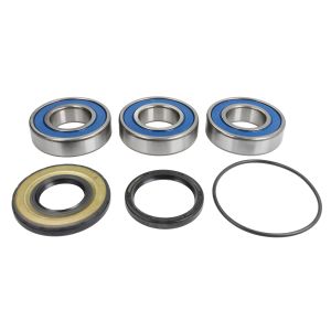 Conjunto de rolamentos de roda ALL BALLS 25-1821