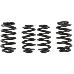 Kit de suspensão, molas EIBACH Pro-Kit E10-15-003-09-22