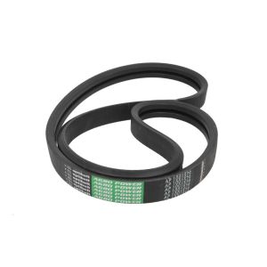 Keilrippenriemen OPTIBELT 1001579AP