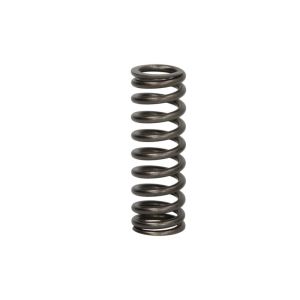 Mola da válvula DT Spare Parts 2.10275