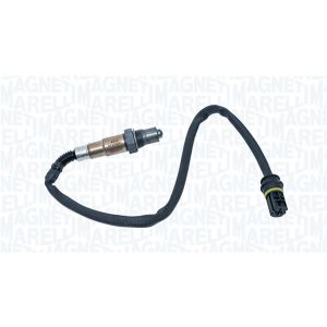 Lambdasond MAGNETI MARELLI 466016355314