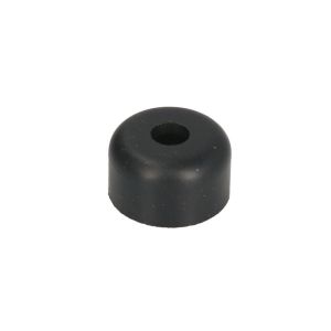 Dichtring, Ventilschaft REINZ 70-24484-00