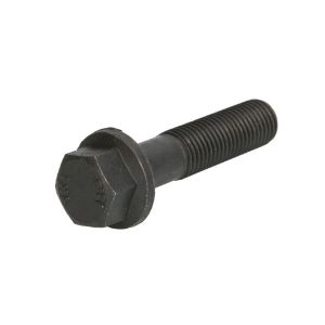 Parafuso AUGER 76652
