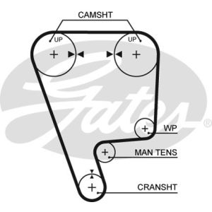 Correa de distribución GATES GATT227RB