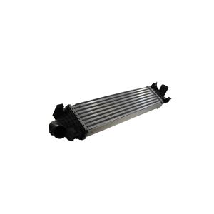 Intercooler THERMOTEC DAG002TT