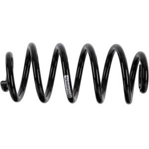 Chassisveer SACHS 994 950
