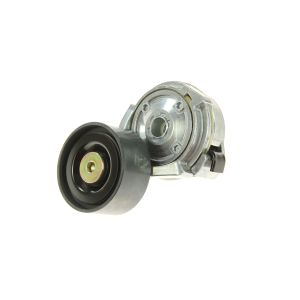 Riemspanner, Poly V-riem BTA B05-01-013