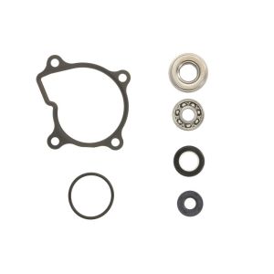 Kit de réparation, pompe à eau HOT RODS WPK0023