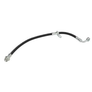 Flexible de frein DELPHI LH6779, droite