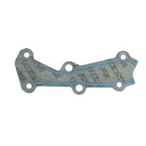 Kit de juntas, caixa de controlo REINZ 15-31869-01
