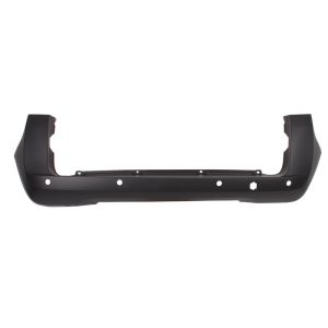 Para-choques BLIC 5506-00-0553951Q