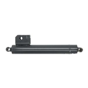 Cilindro hidráulico, macaco EVERT ZL615028014