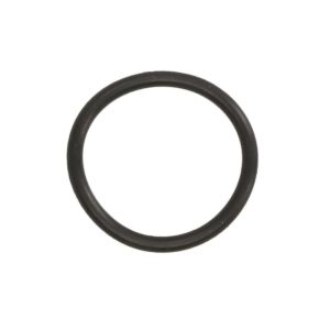 Junta, bloco do motor FP DIESEL 2941712-FP