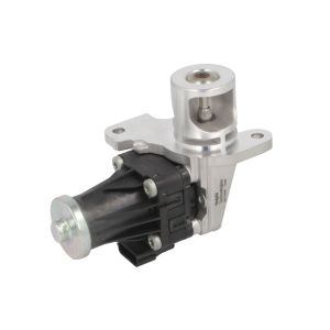 EGR-klep DELPHI EG10566-12B1
