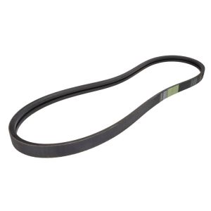 Correa poly V OPTIBELT 1001581AP