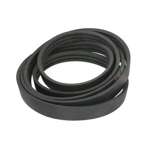 Cinghia Poly-V OPTIBELT 1003843AP
