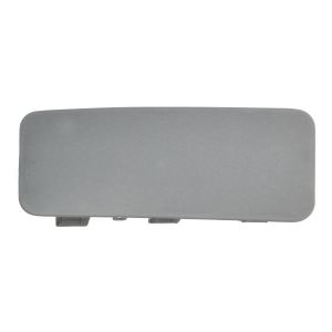 Embellecedor, parachoques PACOL DAF-FB-076L