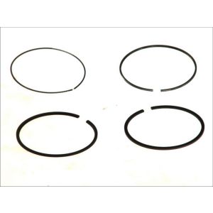 Set di anelli per pistoni MAHLE 010 21 N0