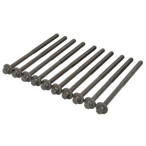 Kit de parafusos, cabeça do cilindro REINZ 14-12813-01