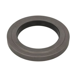 Dichtring-Hinterachse DANA SPICER 2107379-DS