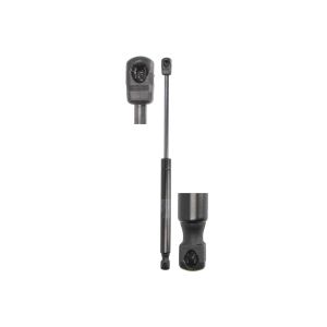 Gasfeder, Motorhaube STABILUS 893899