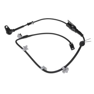 Sensor do ABS traseiro, direito BLUE PRINT ADG07151