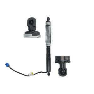 Gasfeder, Einlegeboden MEAT & DORIA 301107
