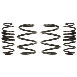 Kit de suspensão, molas EIBACH Pro-Kit E10-46-034-01-22