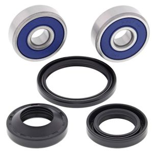 Kit de roulements de roue ALL BALLS AB25-1597