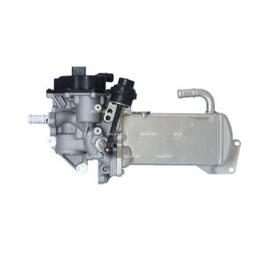 Válvula EGR NRF 48202