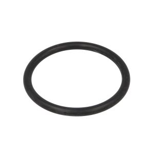Dichtung CVA 931342 CVA
