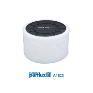 Luchtfilter PURFLUX A1623