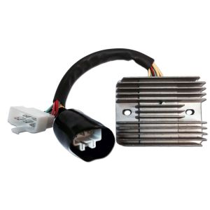 Régulateur de tension DZE DZE02480