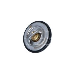 Thermostat NRF 725096