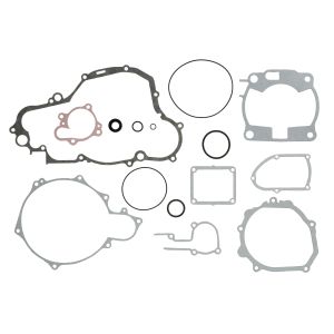 Set di guarnizioni, motore WINDEROSA W808665